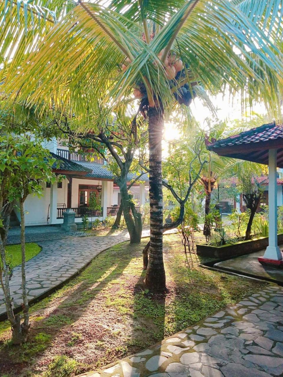 Rini Hotel Lovina Екстериор снимка