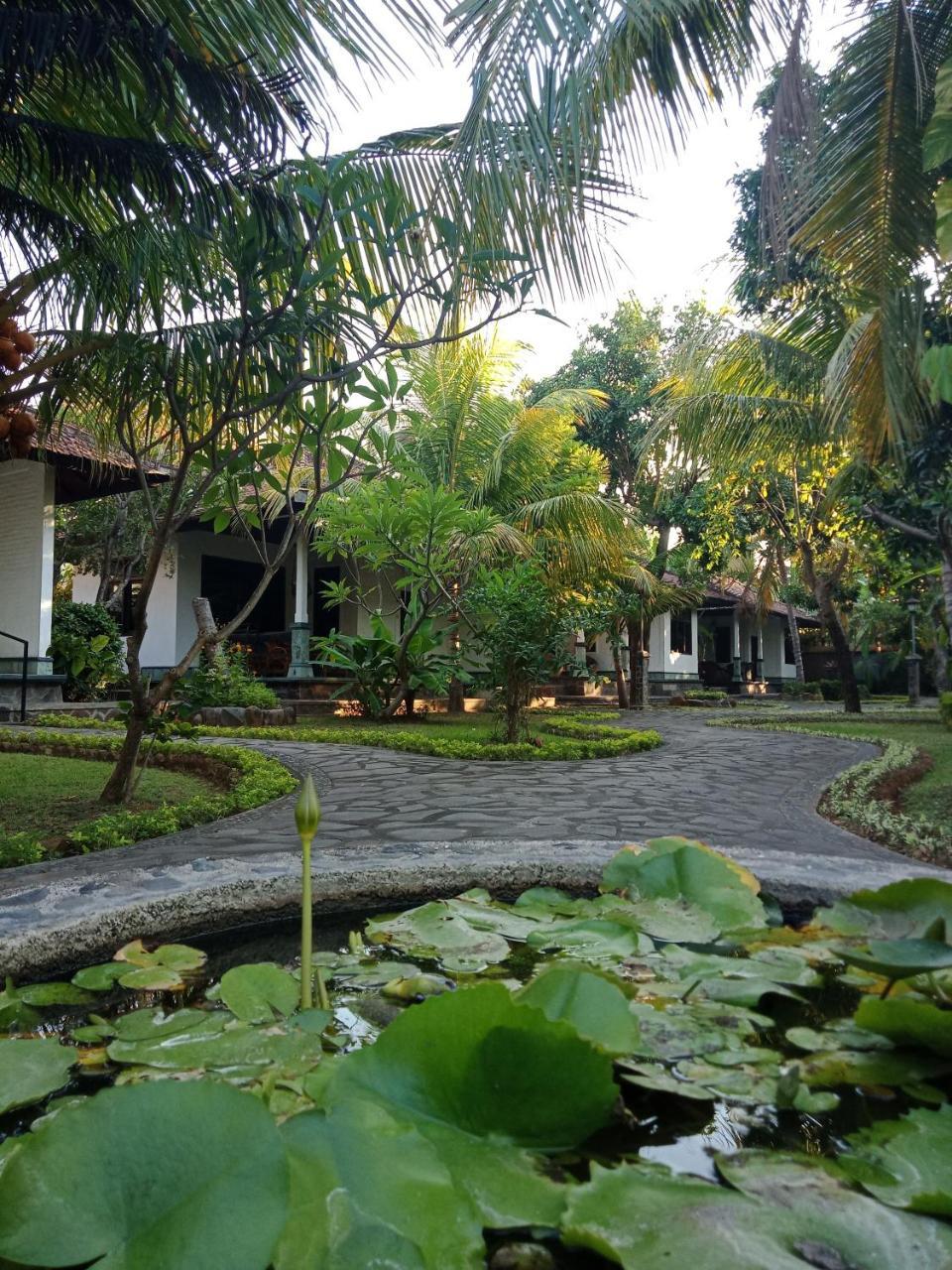 Rini Hotel Lovina Екстериор снимка